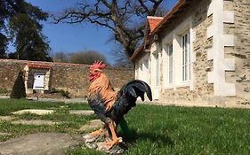 Gîte L'Orangerie