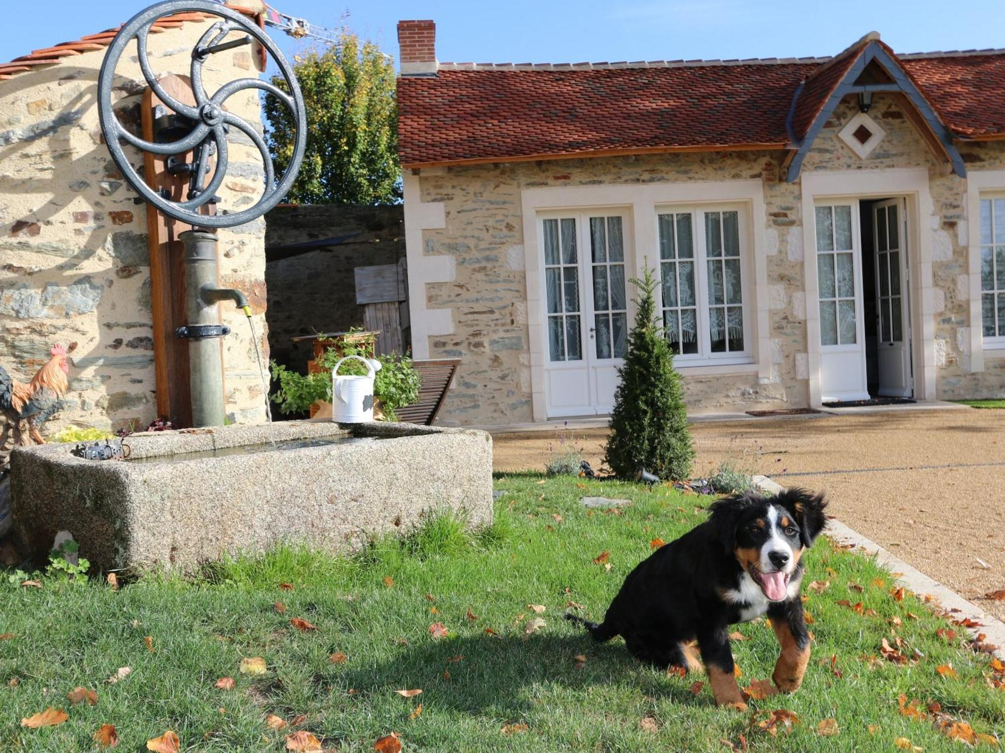 Gîte L'Orangerie Mouchamps Extérieur photo