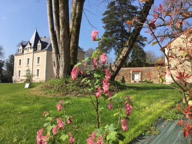 Gîte L'Orangerie Mouchamps Extérieur photo